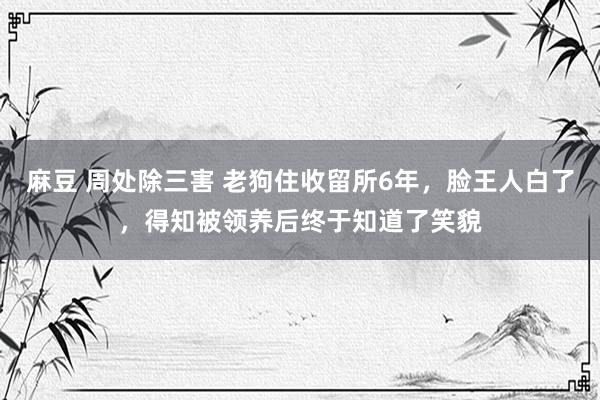 麻豆 周处除三害 老狗住收留所6年，脸王人白了，得知被领养后终于知道了笑貌