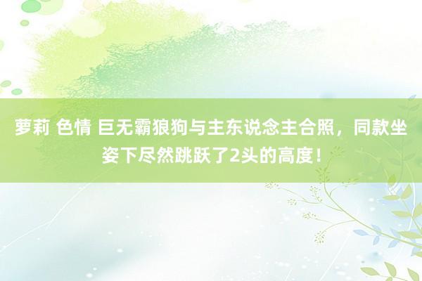 萝莉 色情 巨无霸狼狗与主东说念主合照，同款坐姿下尽然跳跃了2头的高度！