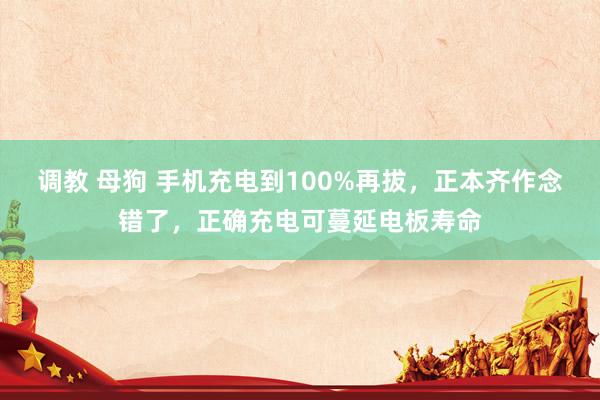 调教 母狗 手机充电到100%再拔，正本齐作念错了，正确充电可蔓延电板寿命