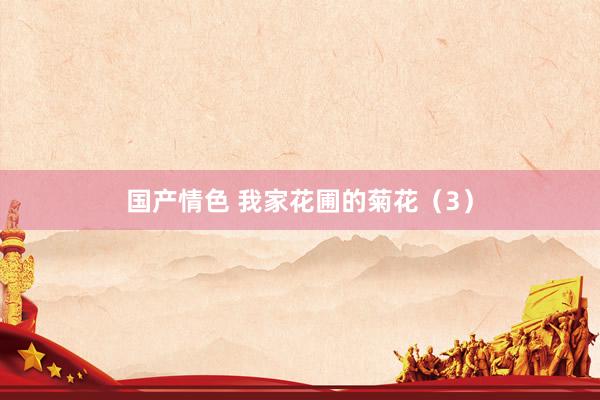国产情色 我家花圃的菊花（3）