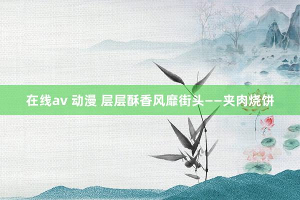 在线av 动漫 层层酥香风靡街头——夹肉烧饼