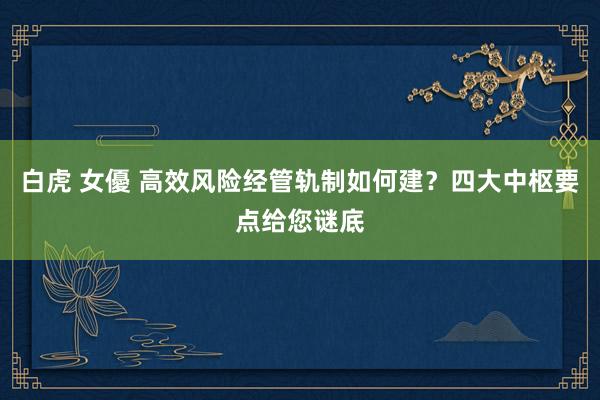 白虎 女優 高效风险经管轨制如何建？四大中枢要点给您谜底