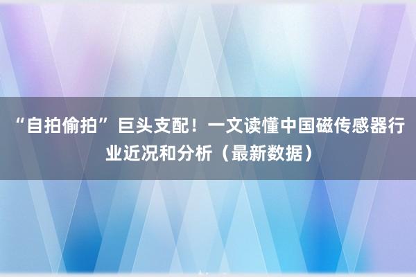 “自拍偷拍” 巨头支配！一文读懂中国磁传感器行业近况和分析（最新数据）