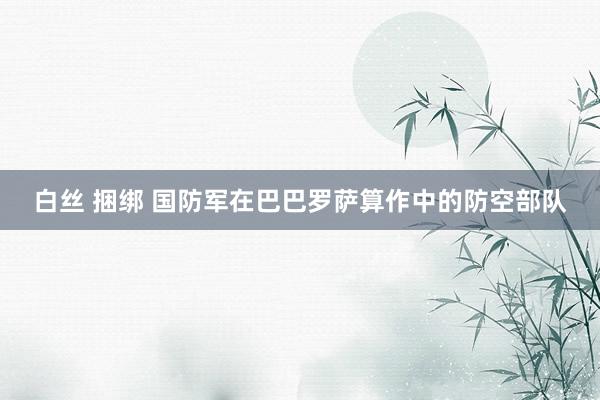 白丝 捆绑 国防军在巴巴罗萨算作中的防空部队