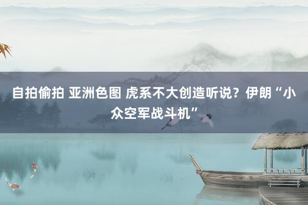 自拍偷拍 亚洲色图 虎系不大创造听说？伊朗“小众空军战斗机”