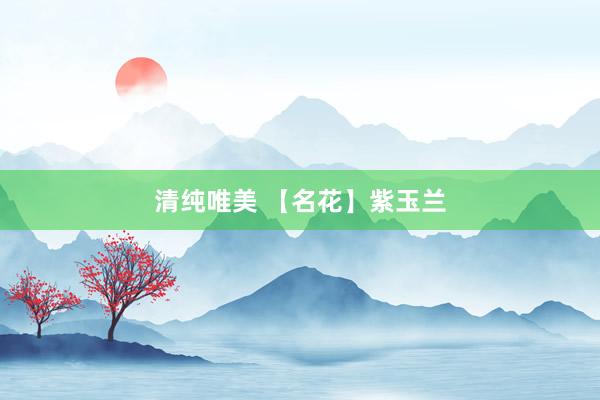 清纯唯美 【名花】紫玉兰