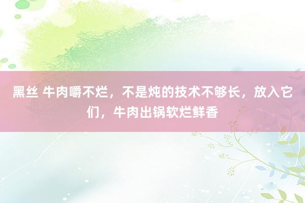 黑丝 牛肉嚼不烂，不是炖的技术不够长，放入它们，牛肉出锅软烂鲜香